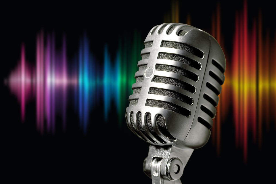 voice-over website