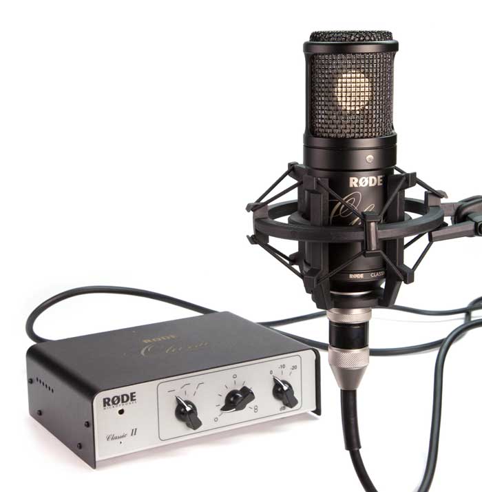 Large diaphragm condenser microphone